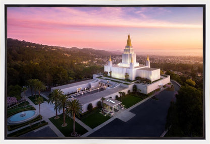 Oakland Sunset from on High