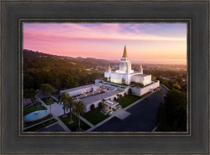 Oakland Sunset from on High