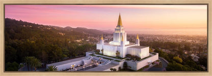 Oakland Sunset from on High