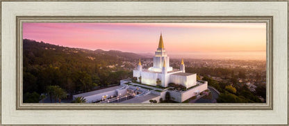 Oakland Sunset from on High