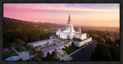 Oakland Sunset from on High