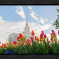 Ogden Flowers