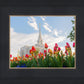 Ogden Flowers