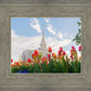 Ogden Flowers