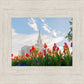 Ogden Flowers
