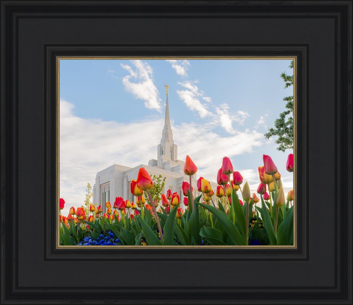 Ogden Flowers