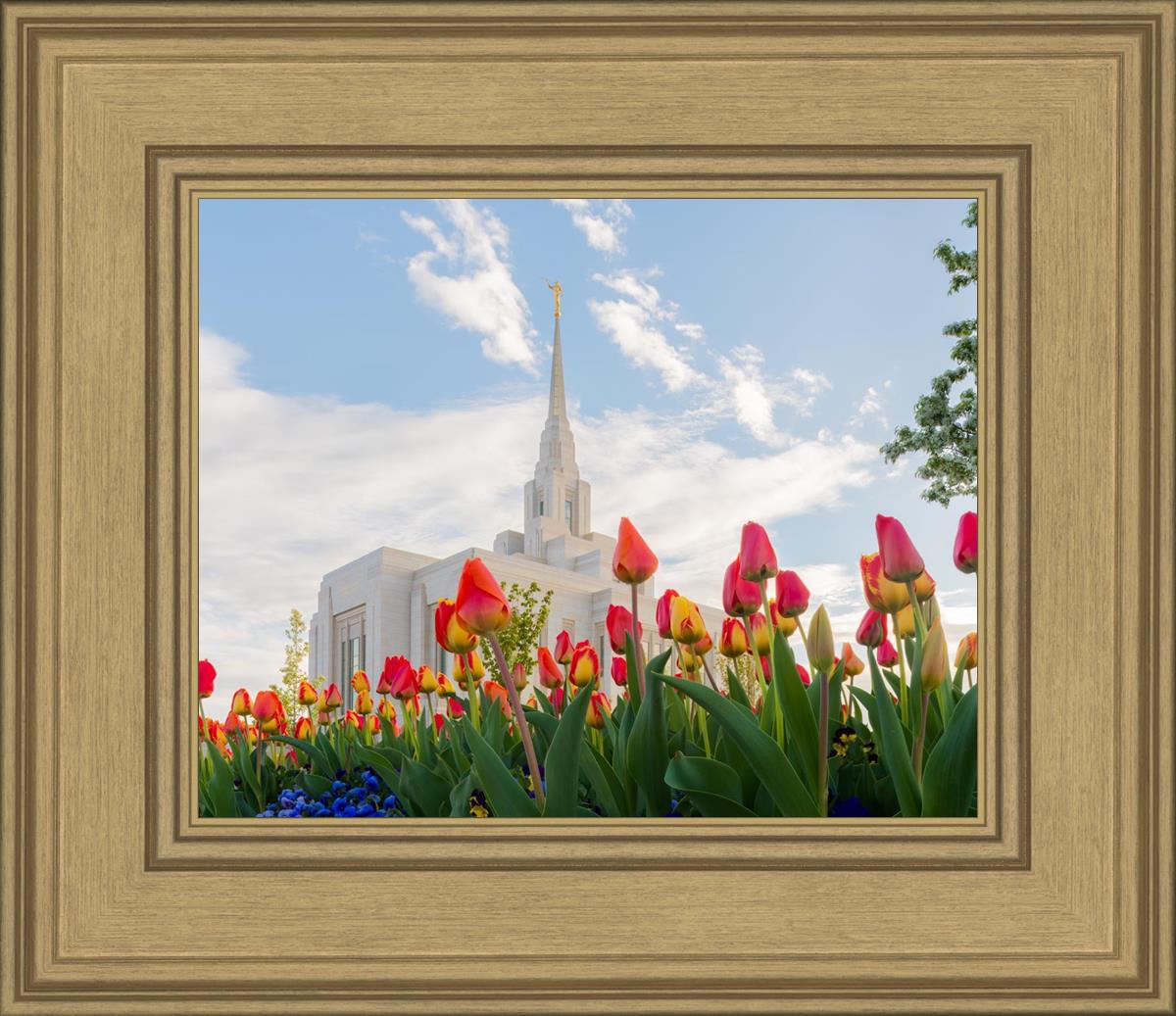 Ogden Flowers