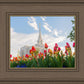 Ogden Flowers
