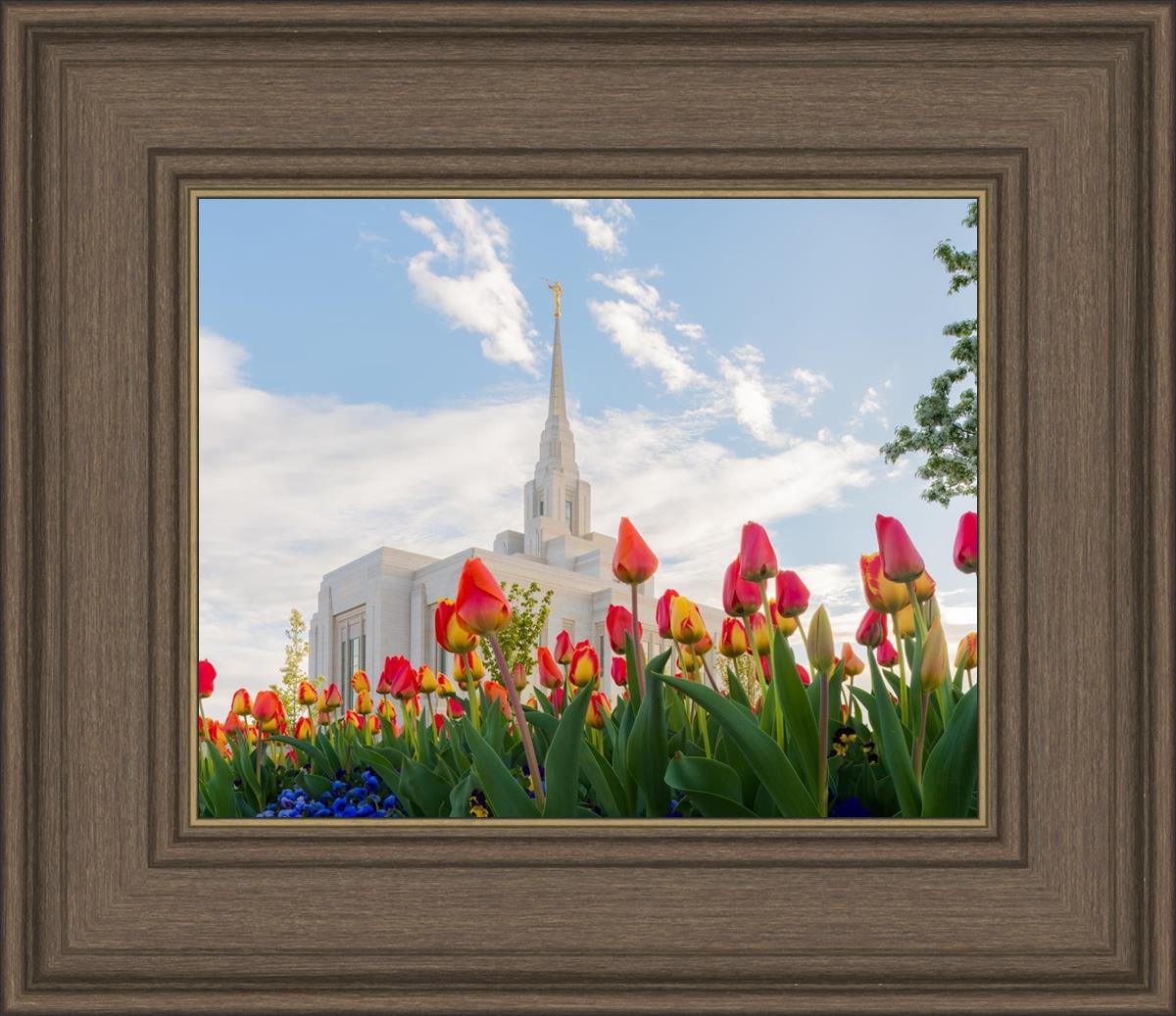 Ogden Flowers