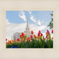 Ogden Flowers