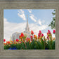 Ogden Flowers