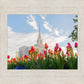 Ogden Flowers