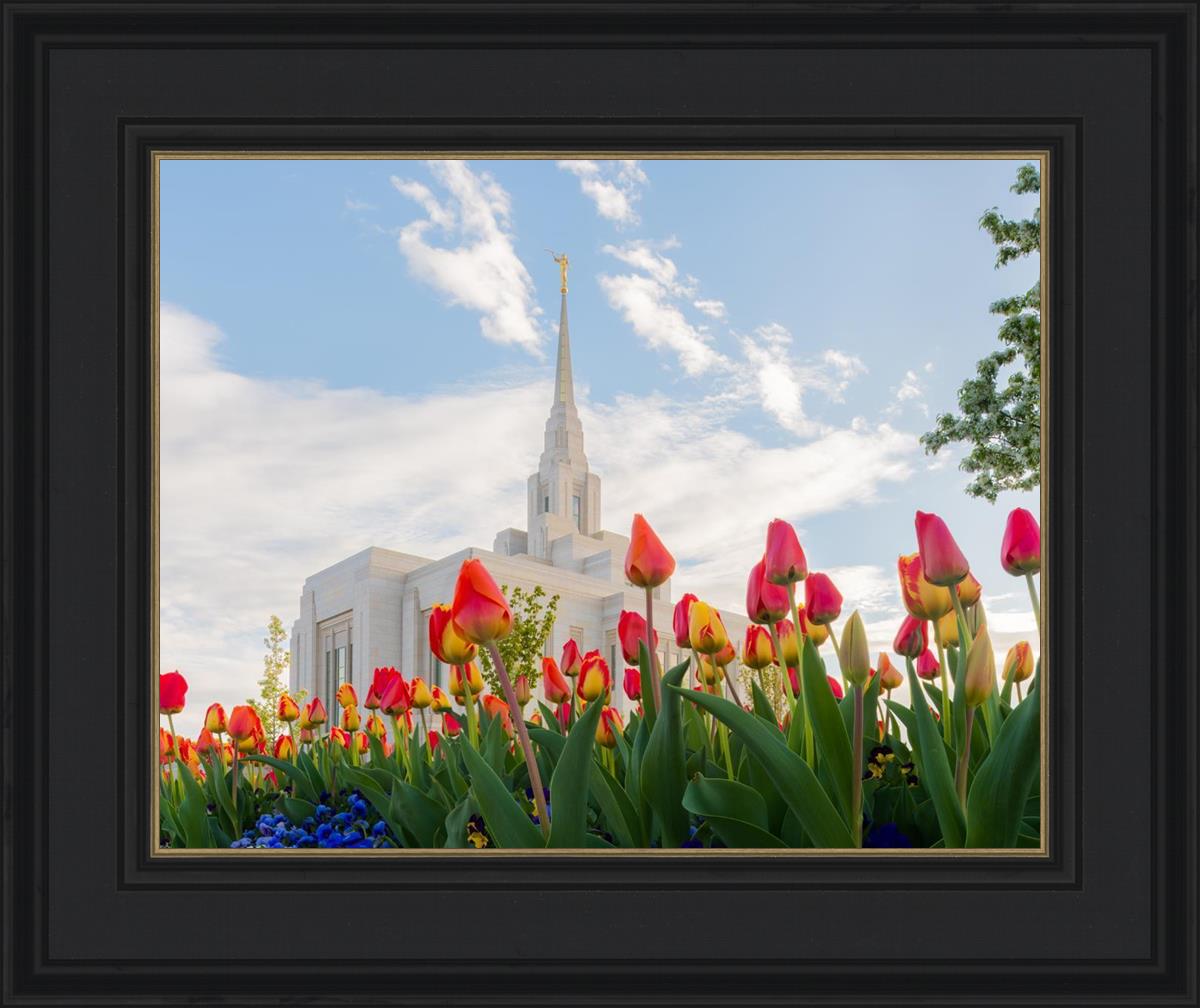 Ogden Flowers