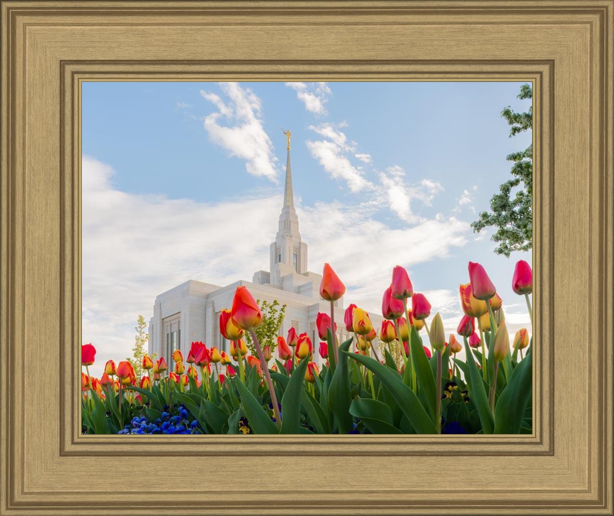 Ogden Flowers