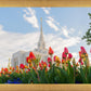 Ogden Flowers