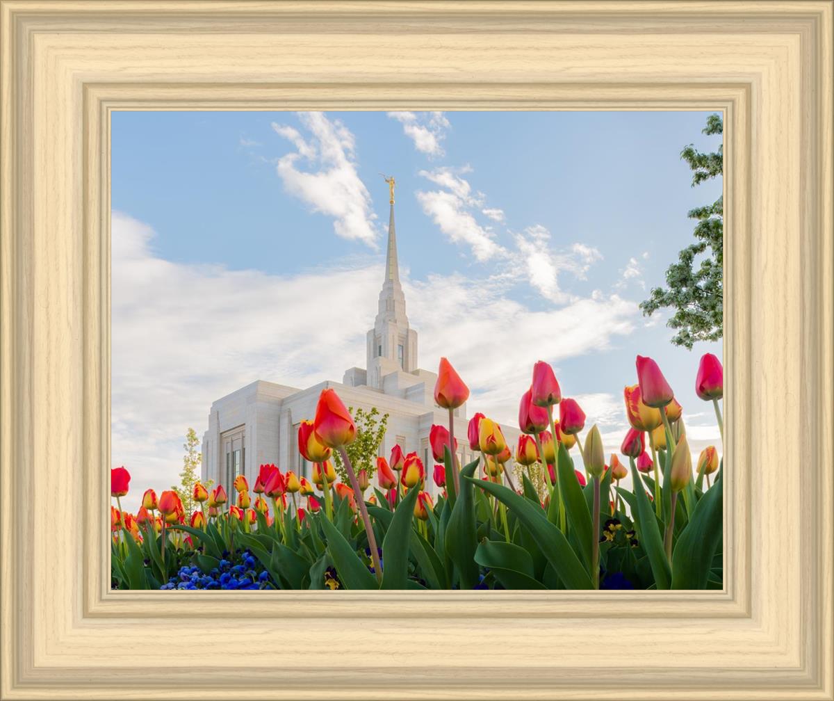 Ogden Flowers