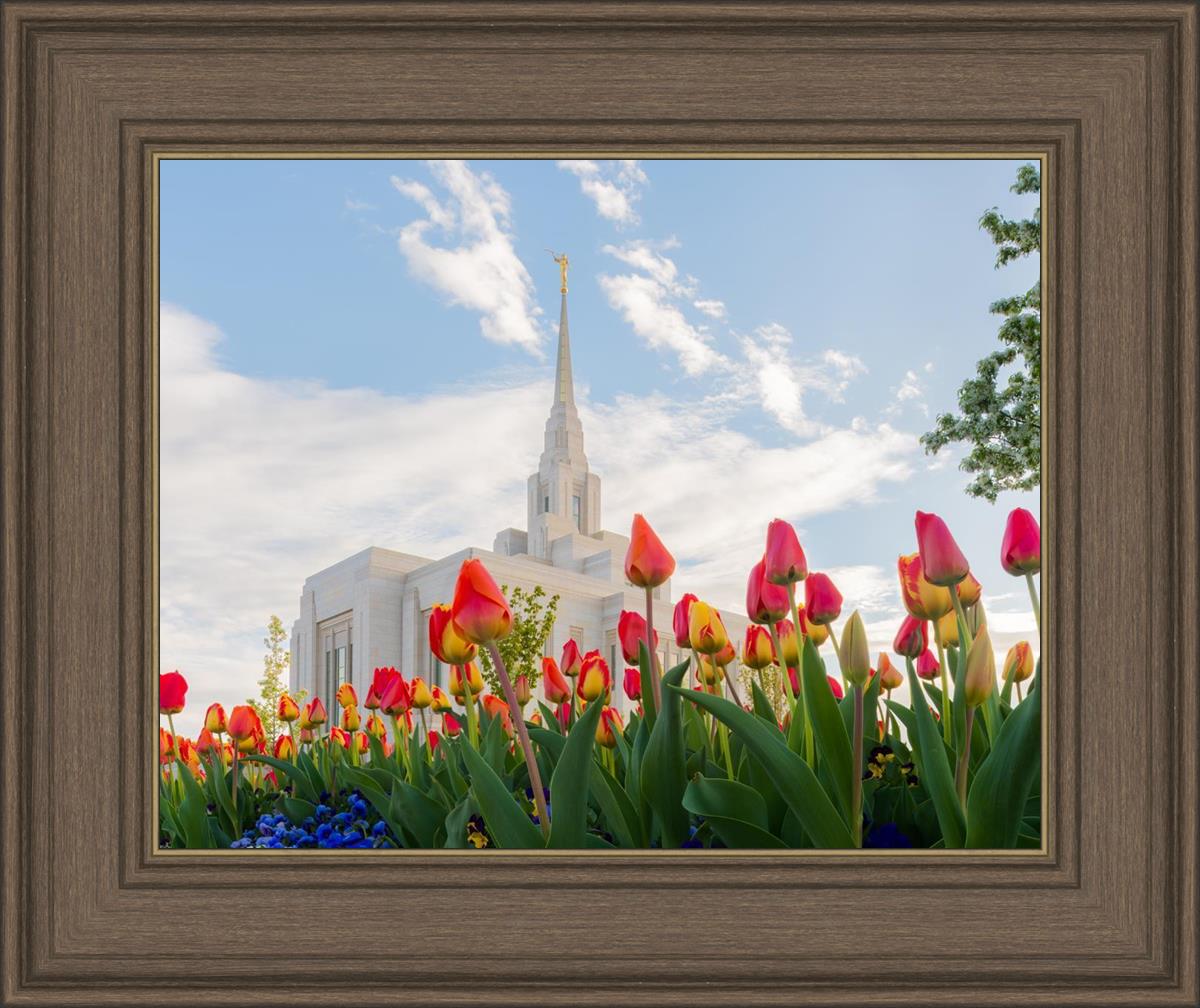 Ogden Flowers