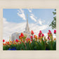 Ogden Flowers