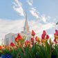 Ogden Flowers