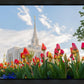Ogden Flowers