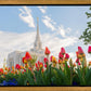 Ogden Flowers