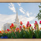 Ogden Flowers