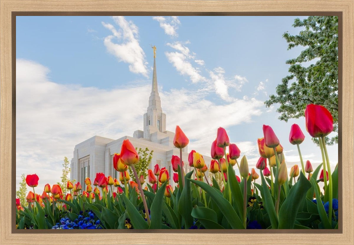 Ogden Flowers