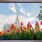 Ogden Flowers