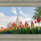 Ogden Flowers
