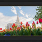 Ogden Flowers