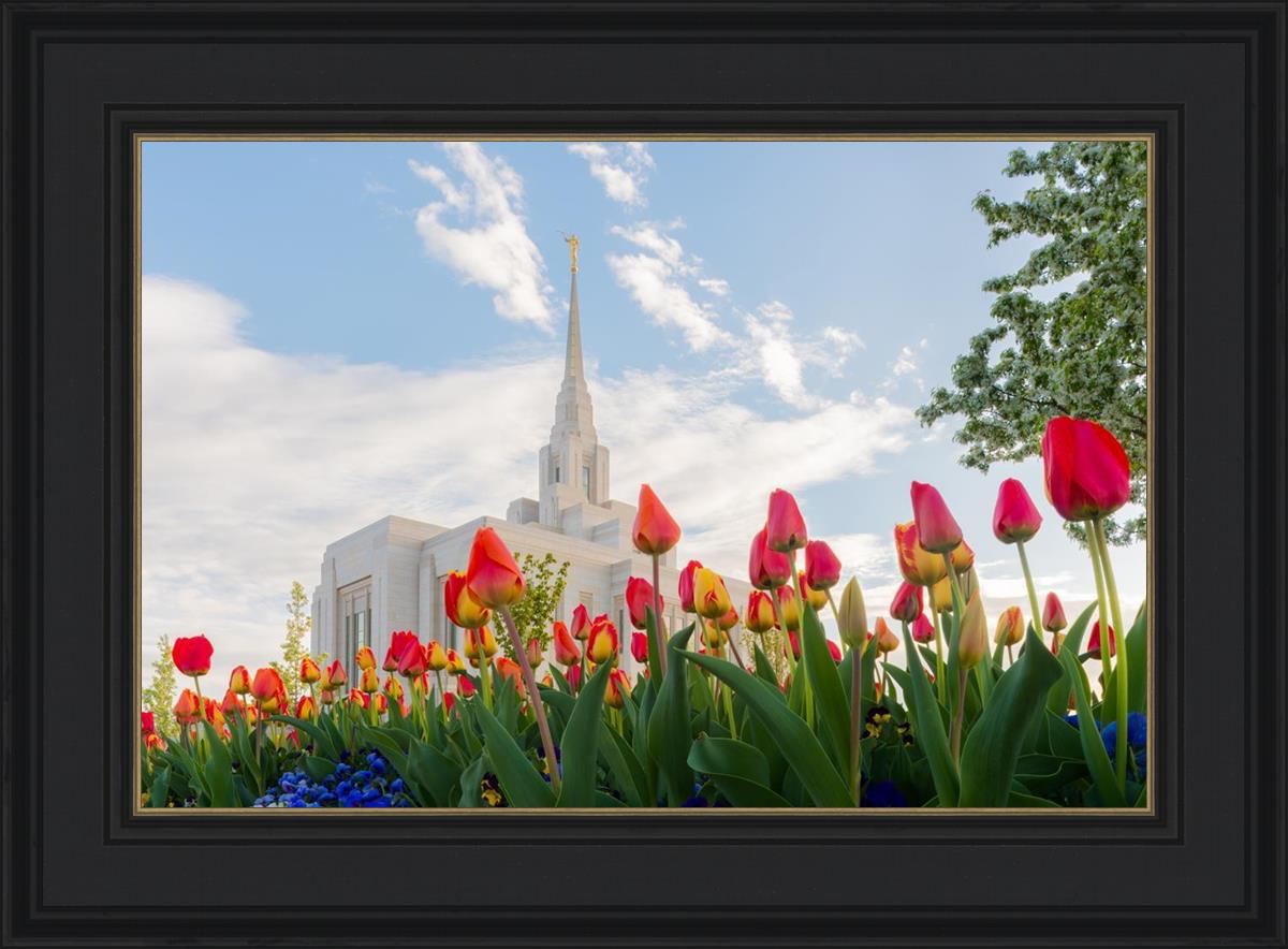 Ogden Flowers