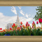 Ogden Flowers