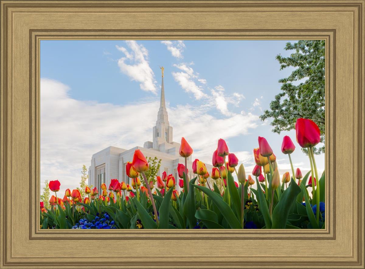 Ogden Flowers