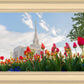 Ogden Flowers
