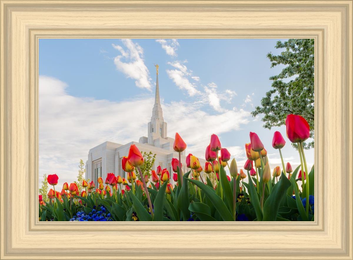 Ogden Flowers