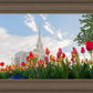 Ogden Flowers