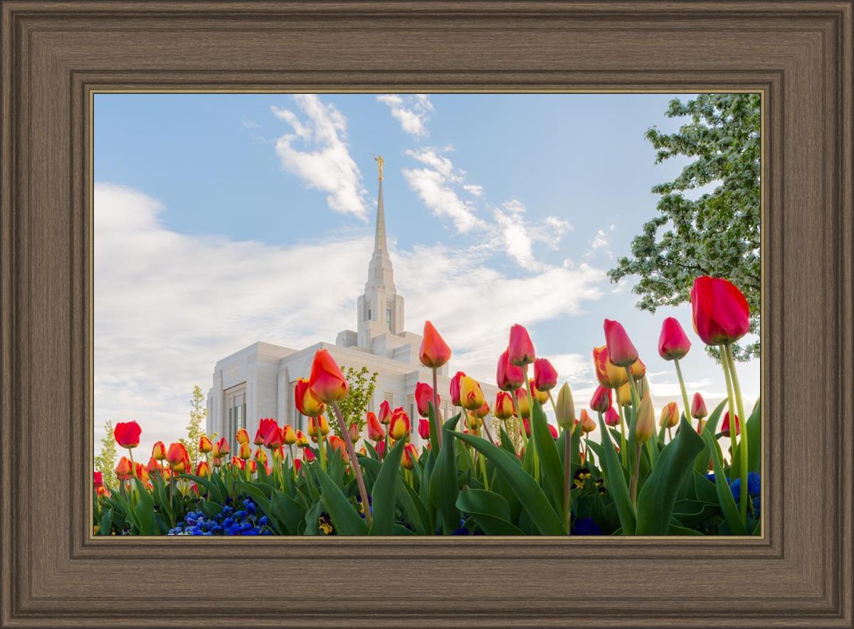 Ogden Flowers
