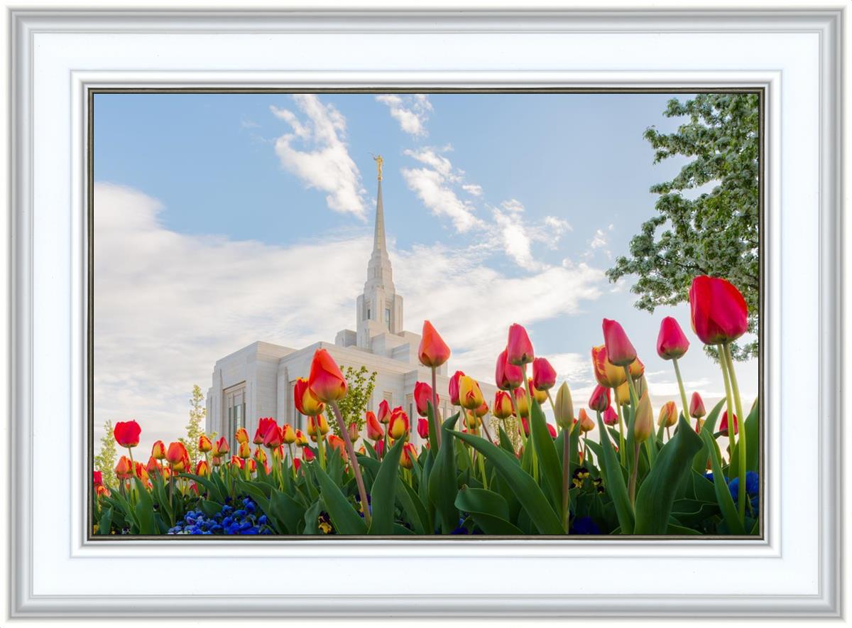 Ogden Flowers
