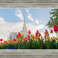 Ogden Flowers