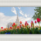 Ogden Flowers
