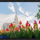 Ogden Flowers