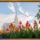 Ogden Flowers