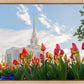 Ogden Flowers