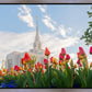 Ogden Flowers