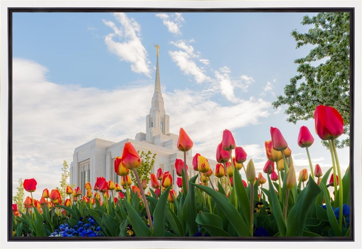 Ogden Flowers