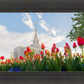 Ogden Flowers