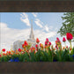Ogden Flowers
