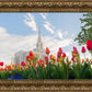 Ogden Flowers