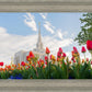 Ogden Flowers
