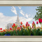 Ogden Flowers
